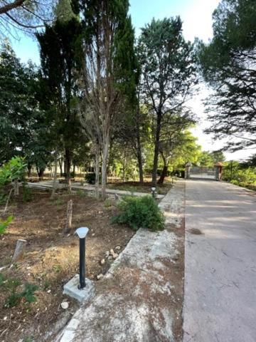 B&B A Pochi Passi Dal Mare Giovinazzo Exterior foto